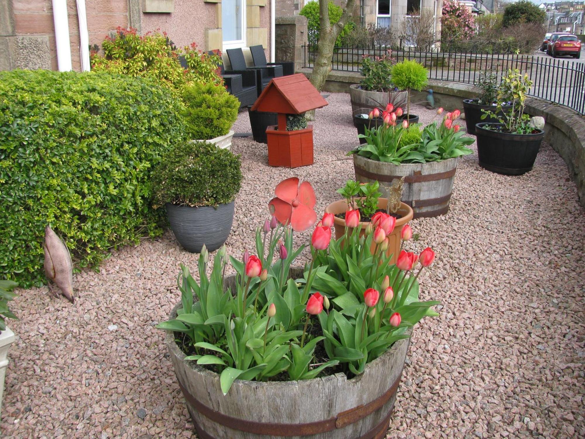 Fairfield Townhouse Guest House Inverness Kültér fotó