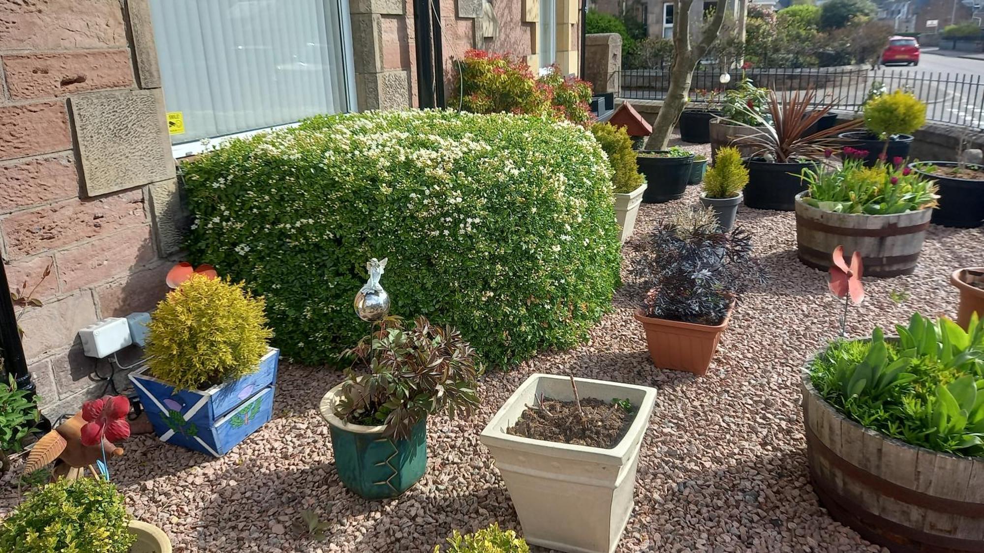 Fairfield Townhouse Guest House Inverness Kültér fotó